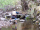 Fishing 012